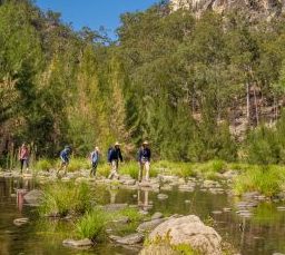 Australian Nature Guides